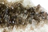 Gorgeous, Smoky Quartz Crystal Cluster - Brazil #79937-4
